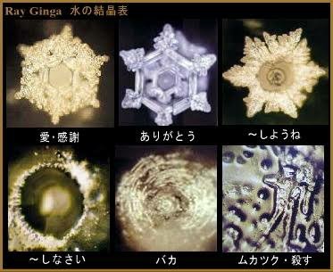 感謝は心の技術です