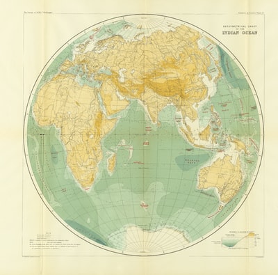 脳の中の勢力図  